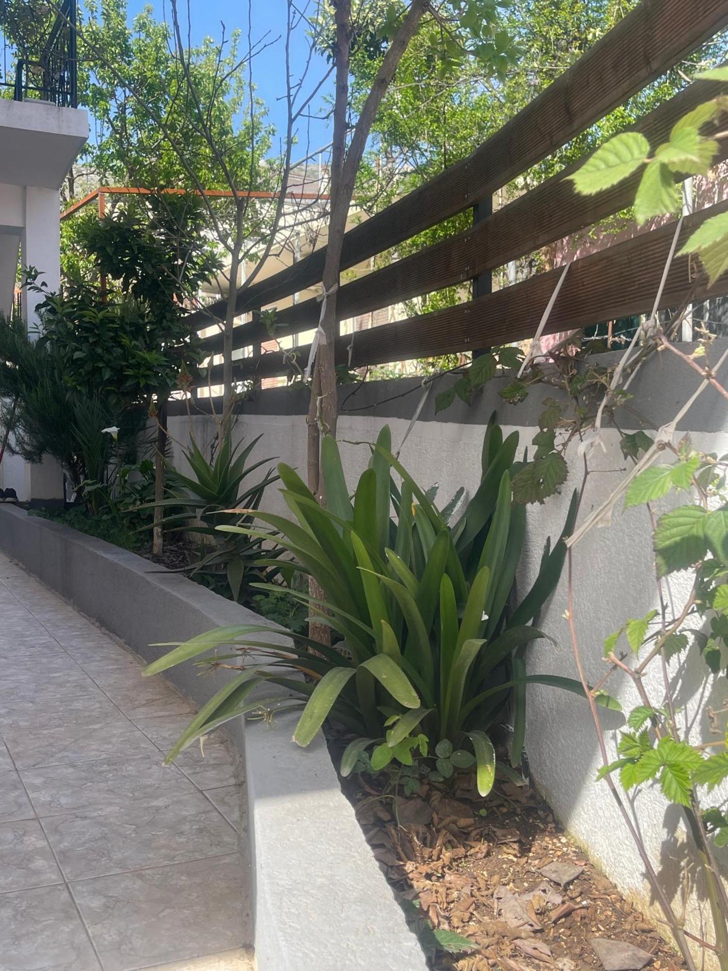 Sunflower Apartments Sarandë Buitenkant foto